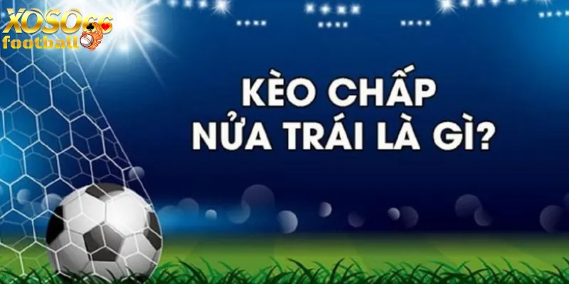 Thể thao Xoso66 đánh giá hướng dẫn toàn diện 2 Giao diện trải nghiệm dùng mục thể thao Xoso66